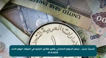 تحديث جديد.. سعر الدرهم الإماراتي يتغير مقابل الجنيه في البنوك اليوم الأحد 21-9-2025